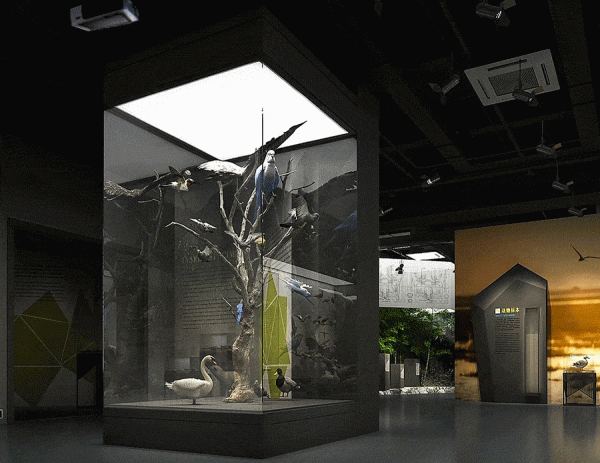 VIP Lobby Glas Projektion
